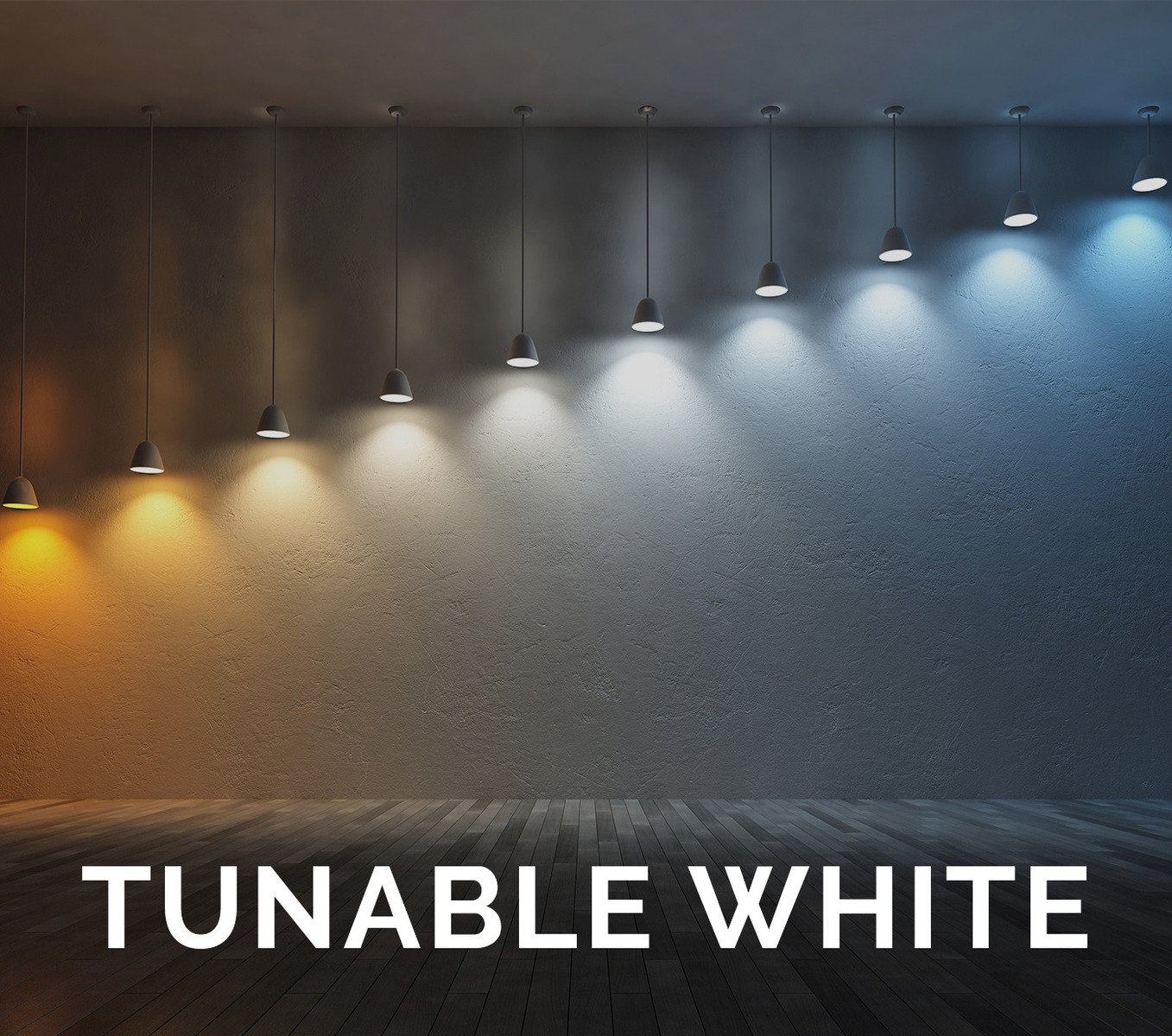 LED Modules with Tunable White capability.