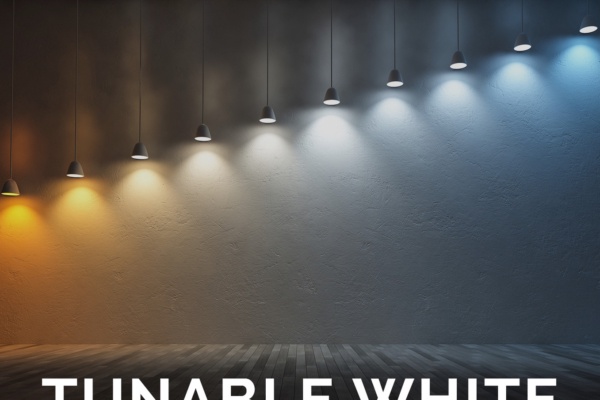 LED Modules with Tunable White capability.