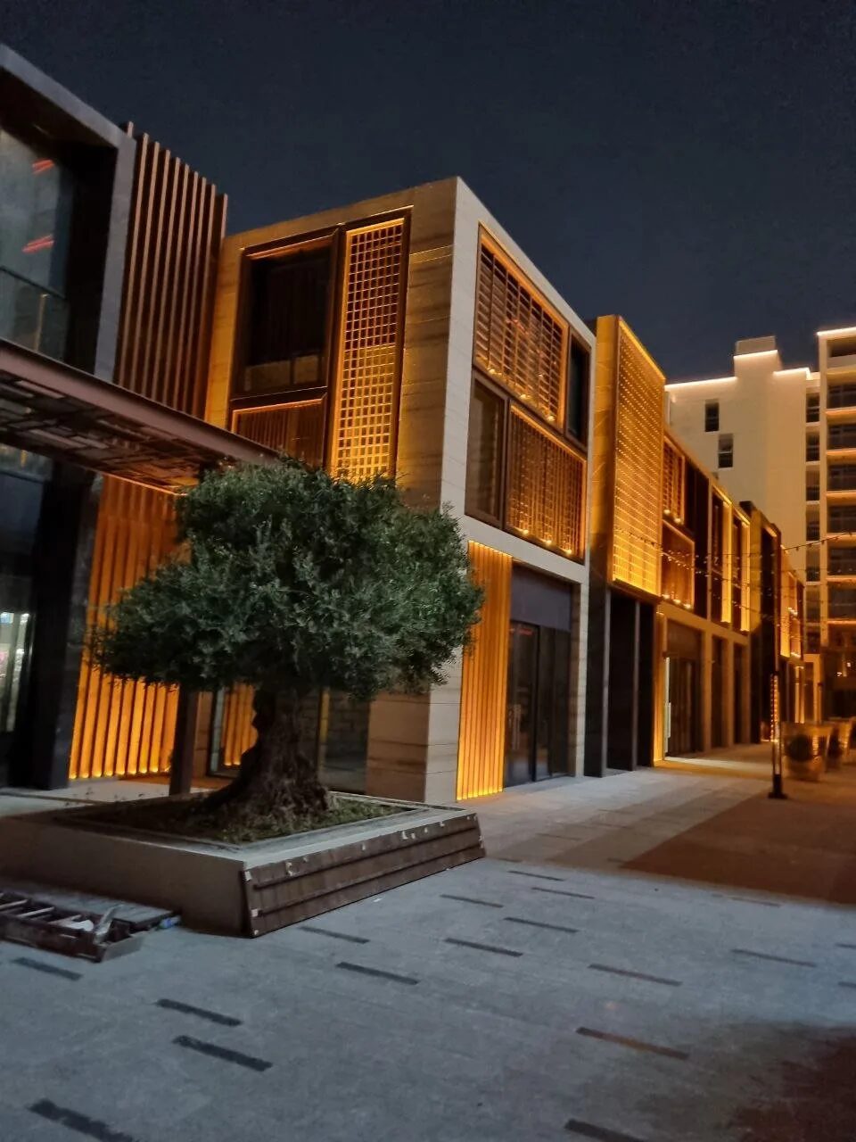 Ground floor frontage at Al Zahia Uptown with warm lit timber lattice panels and an uplit olive tree