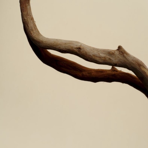 BRILLANT BRONZE 219 - 0,40 mm